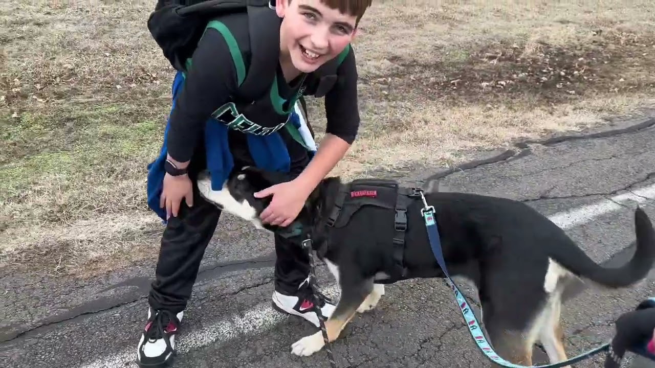 Pupdate: Adopted! Samson on Tinker AFB