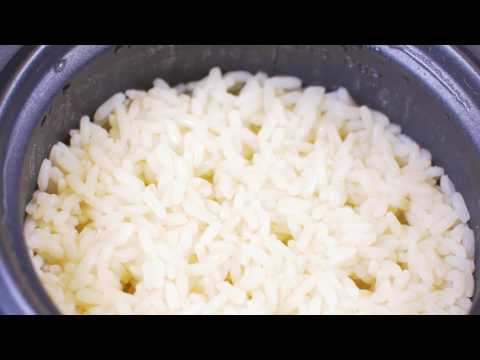 The Black and Decker 3-cup rice cooker: An in-depth review