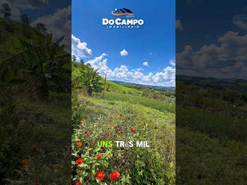 Paz segurança e liberdade | sítio a venda sc