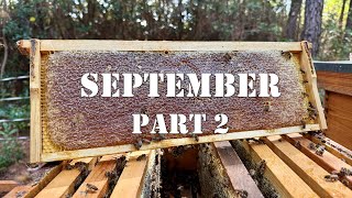 September Part 2 | #colesfarmnc #jacksonvillenc #beekeeping