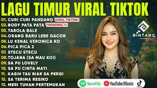 Download lagu LAGU TIMUR TERBARU 2026 VIRAL TIKTOK (LIRIK) CURI CURI PANDANG - BODY PTA PATA - TABOLA BALE mp3