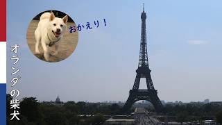飼い主と親戚のお姉さん(妹)ロンドンパリ旅行ダイジェストと留守番の柴犬| 柴犬柿丸・ロンドンパリ環境音