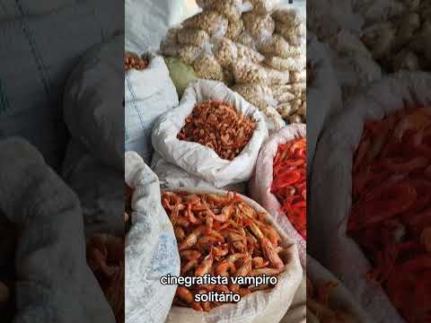 feira livre de inhambupe Bahia
