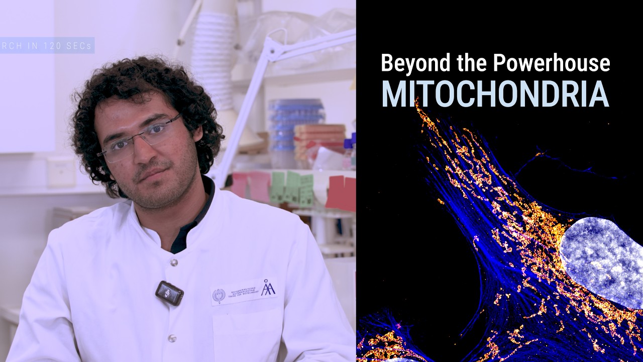 Do mitochondria change the way cells move | Research in 120 Seconds