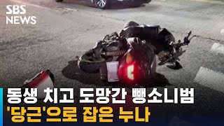 동생 뺑소니 사고에 누나가 '중고거래 앱' 뒤진 까닭 / SBS