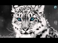 Calvin Harris - You Used to Hold Me (MIANI Remix ...