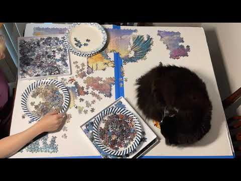 Ravensburger Dragon Forest 9000 Piece Puzzle Part 4