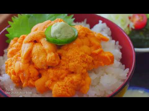 Seasons in Hokkaido,Japan (道東・道北ver   日本語・英語テロップあり）