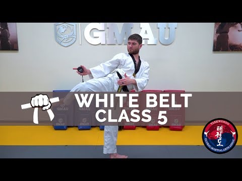 Taekwondo Follow Along Class - White Belt - Class #5