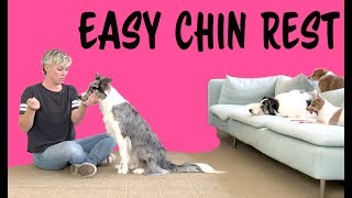EASY Chin Rest — Dog Training by Kikopup