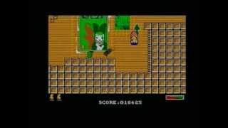 THE NEW ZEALAND STORY (AMIGA - FULL GAME)