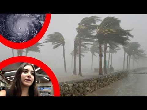 download lagu mp3 mp4 Hurricane Gray, download lagu Hurricane Gray gratis, unduh video klip Hurricane Gray