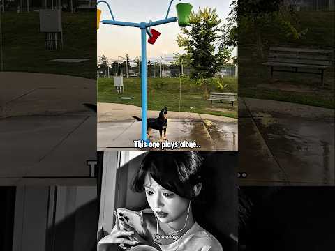 A Dog Playing Alone… But Full of Feelings #dog #shorts #algorithm