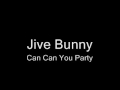 Jive Bunny Can Can You Party Wmv