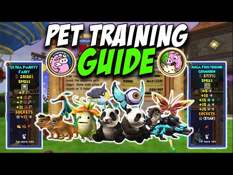 Wizard101: ULTIMATE Pet Training Guide