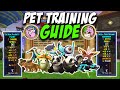 Wizard101 ULTIMATE Pet Training Guide
