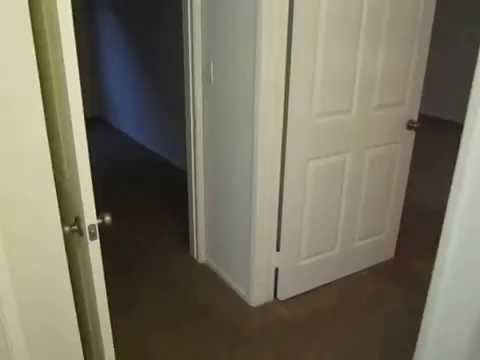 PL3019 - Modern 2 Bed + 2 Bath Apartment For Rent (Los Angeles, CA).