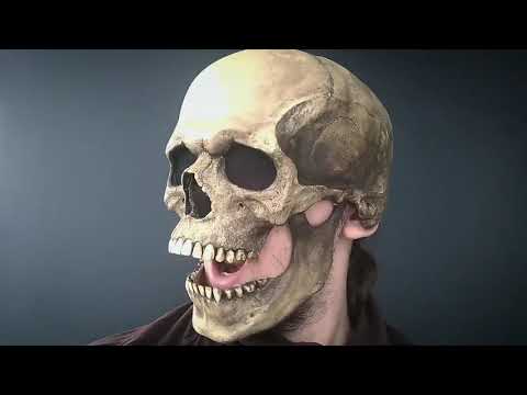 Halloween Mask Movable Jaw Full Head Skull Mask Decoration Horror Scary Cosplay Party Helmet 2023