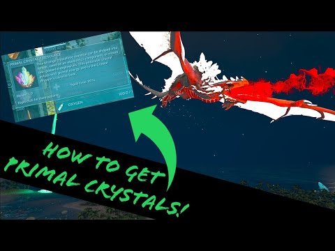 PRIMAL CRYSTALS: HOW TO GET THEM AND STRATEGY!!! TROPICAL WYVERN KIBBLE
