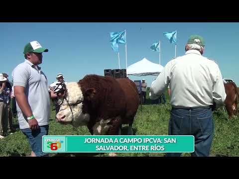 CH360 JORGE GVOZDENOVICH   JORNADA A CAMPO IPCVA SAN SALVADOR ENTRE RÍOS