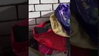 Ласточка с весною (и летом тоже) в сени к нам летит