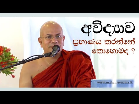 අවිද්‍යාව ප්‍රහාණය කරන්නේ කොහොමද? - අවිජ්ජා පහාන සූත්‍රය