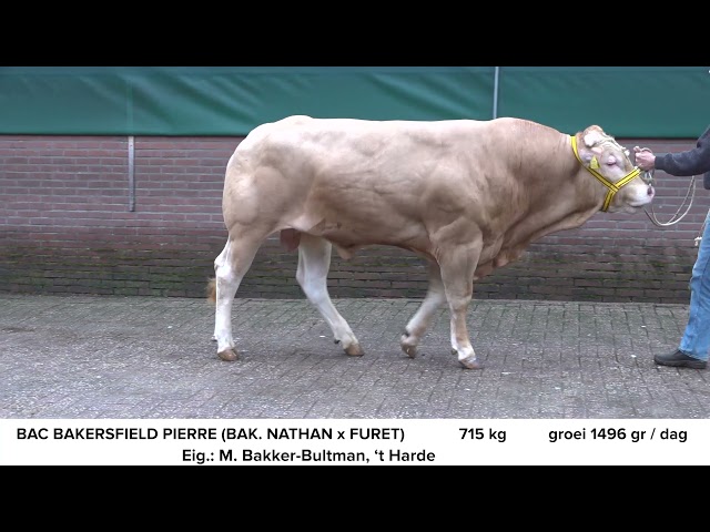 BAC Bakersfield Pierre NL569610010