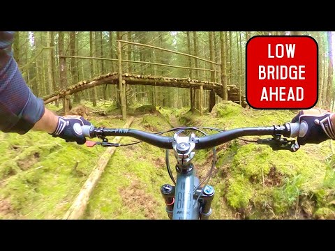 A hardtail on a (slightly) longer trail - Cotic BFe Max