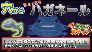 【Newポケモンスナップ実況】#16　ひょっこりハガネール！！