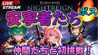 DLC 【ナイトレイン】安寧の者たちボスに挑戦したい！