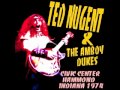 Ted Nugent & The Amboy Dukes - Hammond 1974 - 05 - Cannon Balls