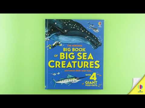 Книга Big Book of Big Sea Creatures video 1