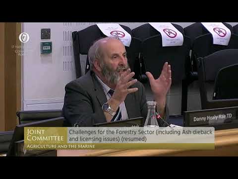 Danny Healy-Rae demands action over 2,000 forestry applications