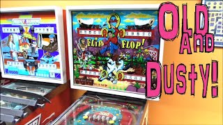 A Customer Brought us an old 1976 Bally Flip Flop Pinball Machine To Repair!