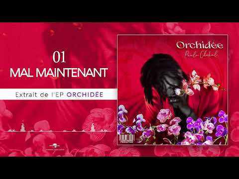 PAULO CHAKAL 01- MAL MAINTENANT x DOKS (audio officiel)