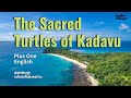 THE SACRED TURTLES OF KADAVU Plus One English Explanation In Malayalam By English Eduspot