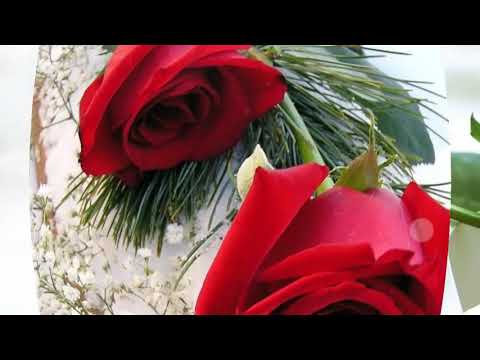 Happy birthday best  wishes