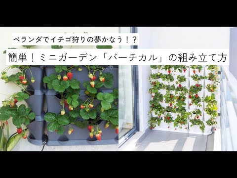 園芸 ヴィトレの公園庭園