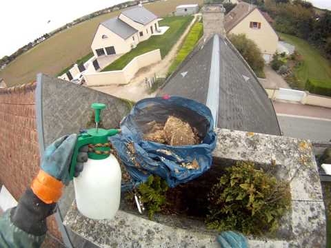 comment traiter nid guepes