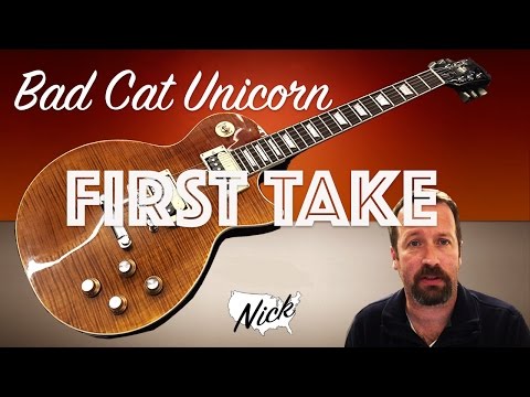 Bad Cat Unicorn First Impressions - Going Legit! Chibsons Are So Last Year.