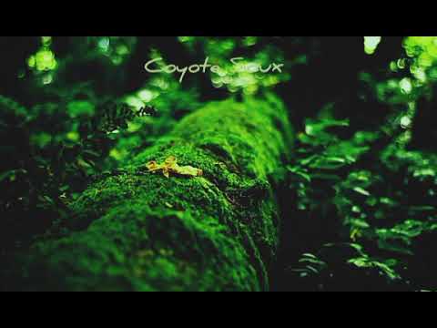 Frecuencia schumann 7.83hz / la frecuencia de la tierra