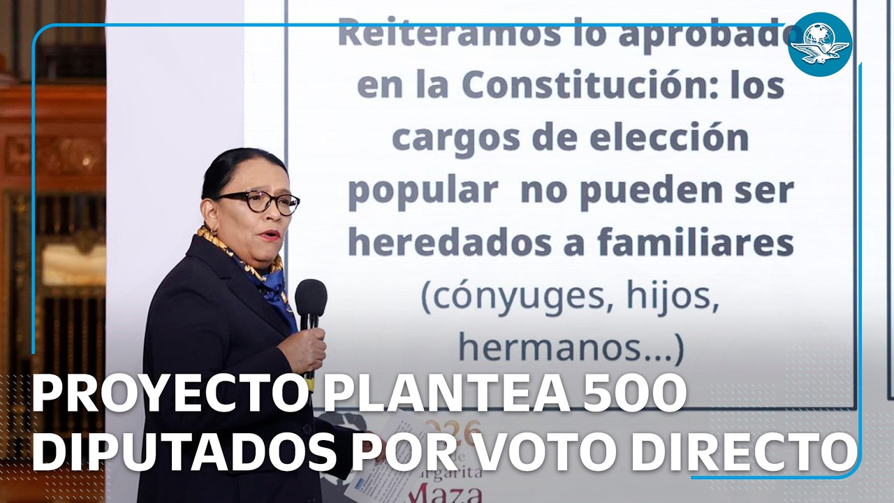 Los 10 puntos clave del proyecto de reforma electoral