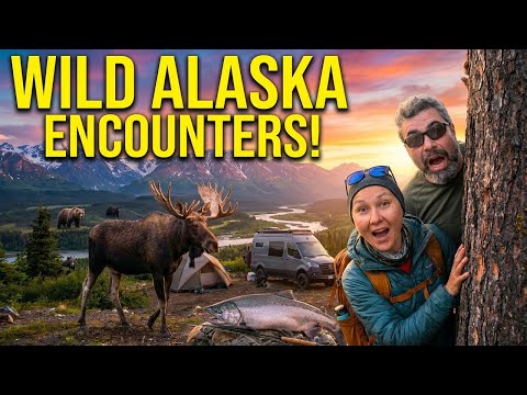 Last Leg of Our Alaska Journey - Moose, Bears & Camping
