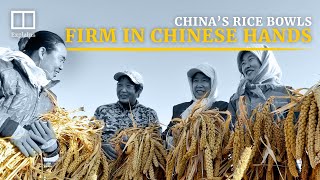 Why is the Chinese government so concerned about food security?