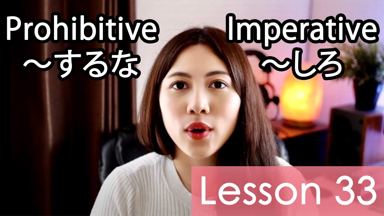 Learn Japanese | Minna No Nihongo Lesson 33 Grammar