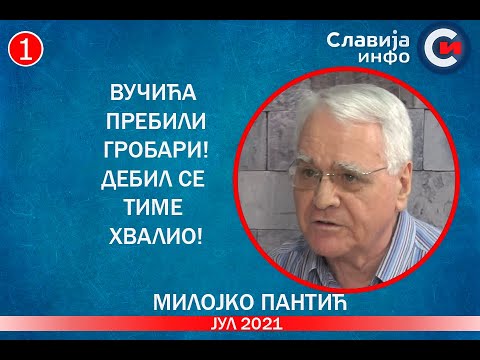 INTERVJU: Milojko Pantić - Vučića prebili Grobari! Debil se time hvalio! (22.7.2021)