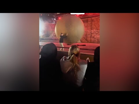 Disney Worker Recovering After Struck by Runaway Prop Boulder