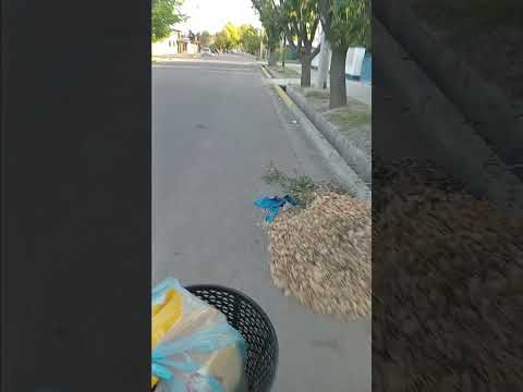 MOTIVATE CON #musica  TUNUYAN MENDOZA ARGENTINA