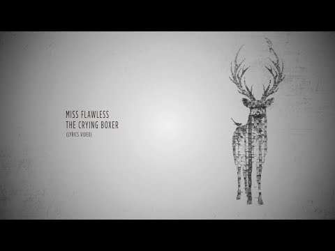 The Crying Boxer - Miss Flawless (lyrics Video)