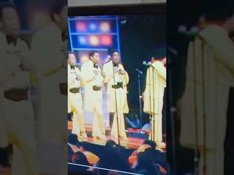 Thumbnail for THE STYLISTICS LIVE #mrohrealay #nobodybeatzmygod by The Stylistics
